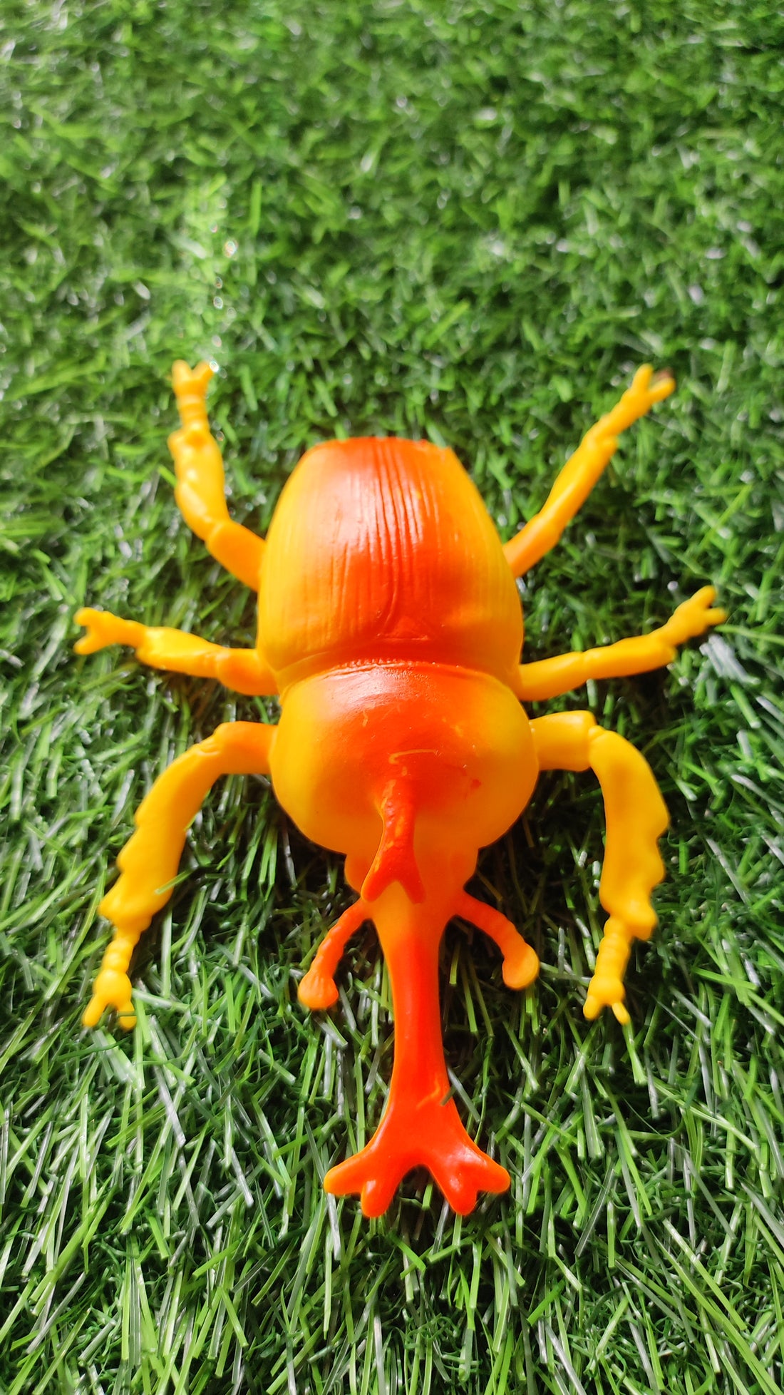 Jungle Paradise Toys for Kids | Rubber Paradise Toys for Kids | Purchase Online