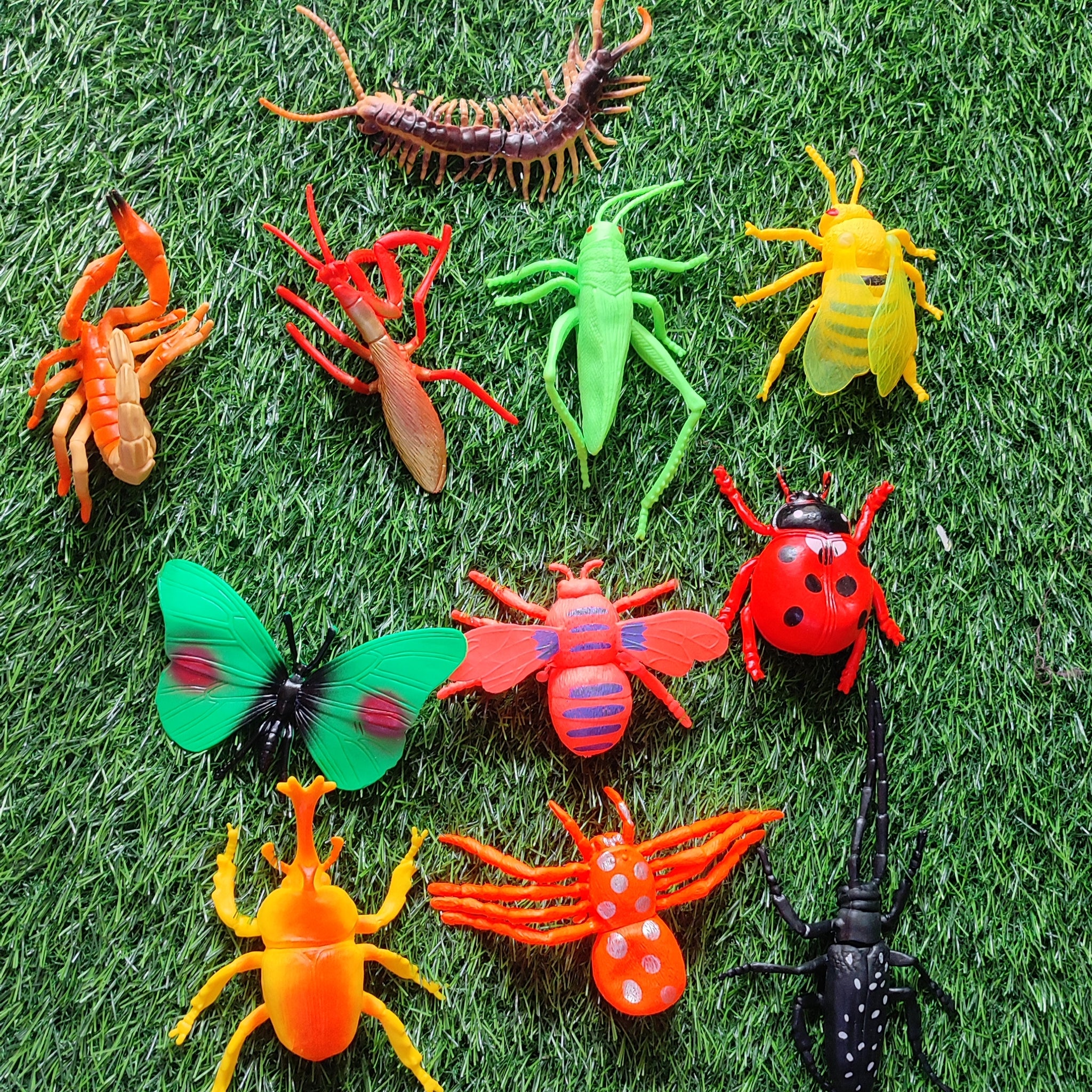 New World Nature Toys for Kids | Rubber Paradise Toys for Kids | Purchase Online