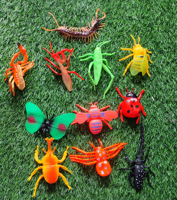 New World Nature Toys for Kids | Rubber Paradise Toys for Kids | Purchase Online